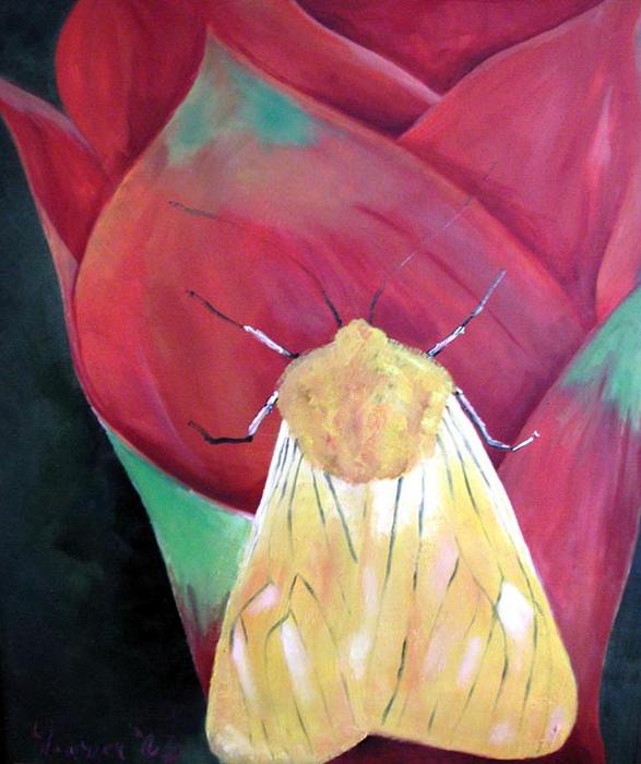 Yellow Moth